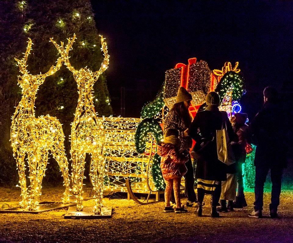 Incanto di luci, a Roma la magica mostra di light art