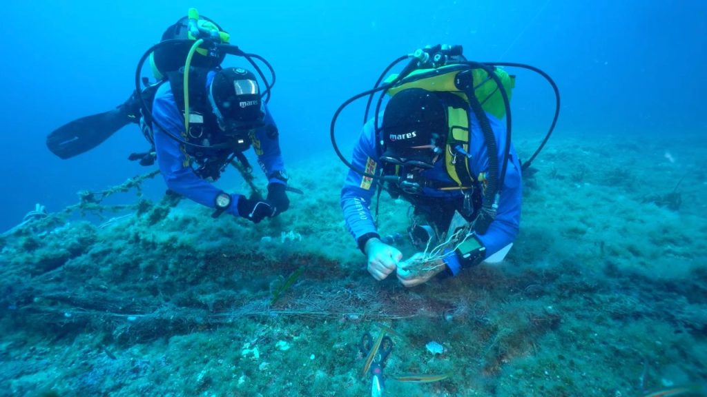 Il progetto Linea Gialla libera il mare di Sicilia da chilometri di reti fantasma