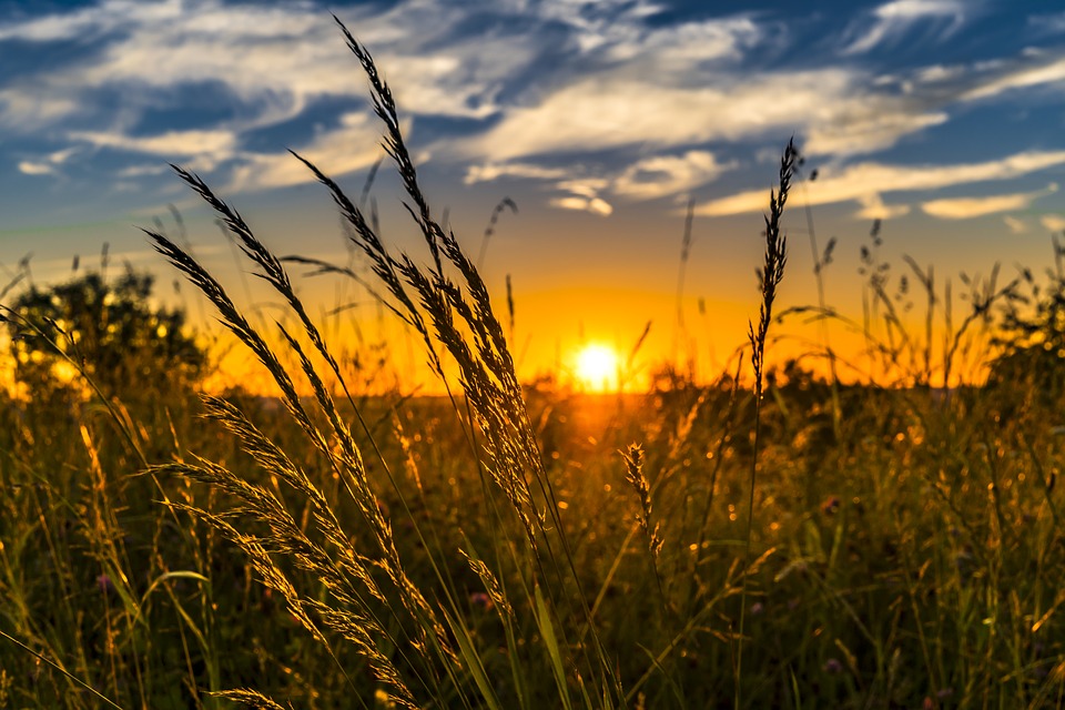 Agroecologia cerca alleati