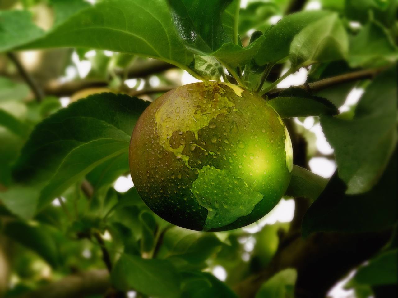 Biodiversità e biologico, accordo per la sostenibilità