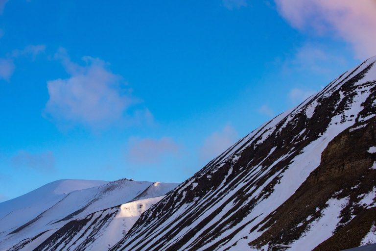 Tundra artica, come la vegetazione controlla i flussi di CO2: lo studio