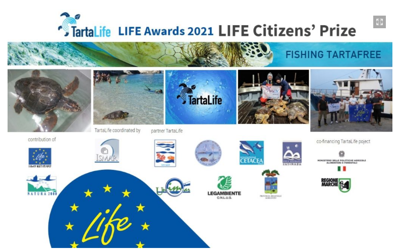 TartaLife, il progetto che salva le tartarughe marine vince il Life Award 2021