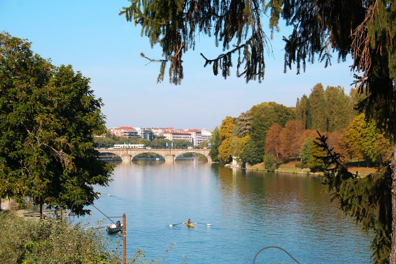 Po d'Amare a Torino, i risultati dell'esperimento