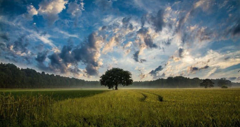 Residuo Zero, sempre più voglia di un'agricoltura realmente sostenibile