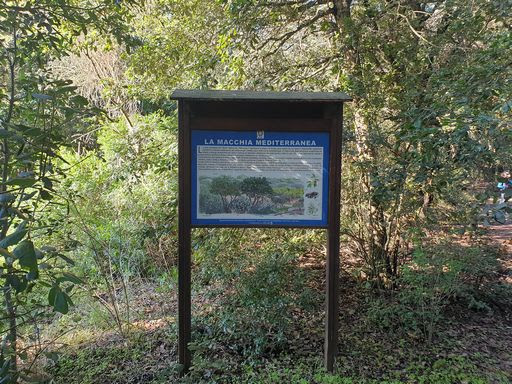 Biodiversità e gestione forestale, la Tenuta di Castelporziano ottiene la Certificazione PEFC