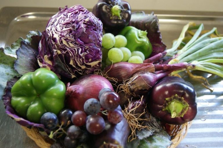 Esportazioni agroalimentari italiane, rientrato il problema, per ora