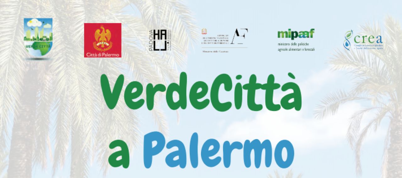 Verdecittà a Palermo svela la complessità e la ricchezza del mondo delle piante