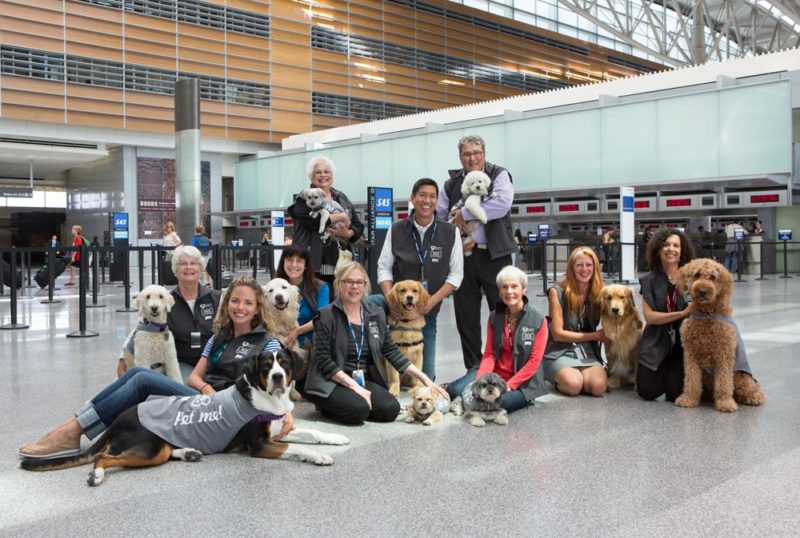 Wag Brigade, coccole in aeroporto