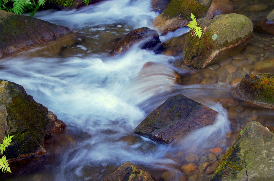 Acqua: risorsa da conservare e proteggere