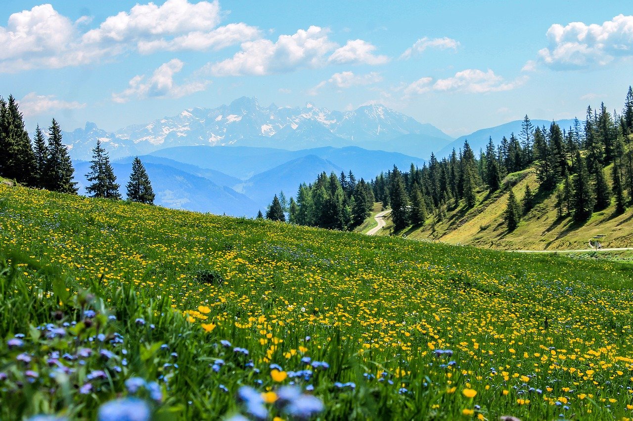 La Costituzione e l'ambiente, c'è chi esprime perplessità