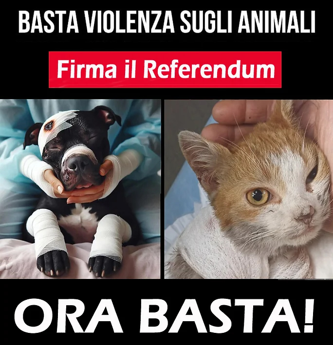 Un referendum per inasprire le pene a chi maltratta, abbandona o uccide animali