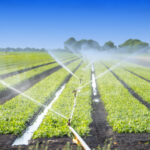Acqua: infografica CREA, Italia terzo paese in Ue