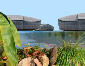 Torna a Roma il Festival del Verde e del Paesaggio all’Auditorium Parco della Musica
