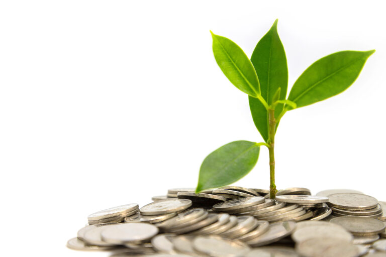 Situazione donatori regolari in Italia: perché molti scelgono di tutelare il Pianeta con il WWF