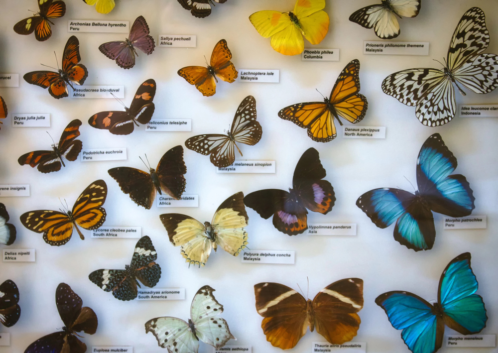 Biblioteca della biodiversità: al via il nuovo progetto