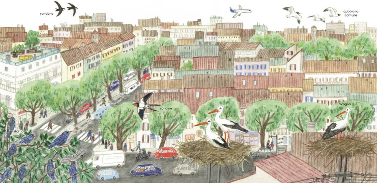 La natura in città, albo illustrato sulla biodiversità urbana