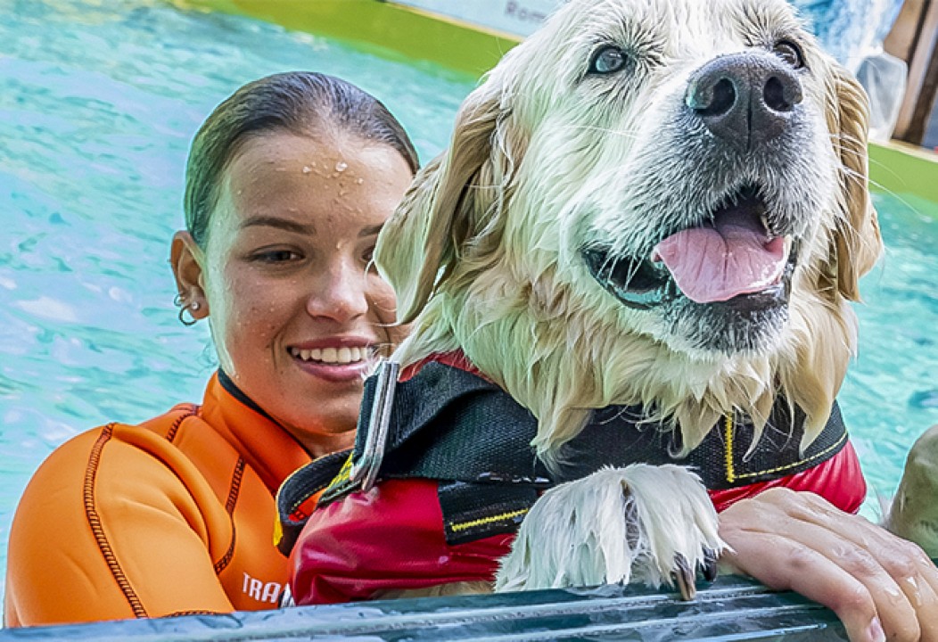 "A Prova di Zampa", i cani eroi in acqua della Sics a Zoomarine