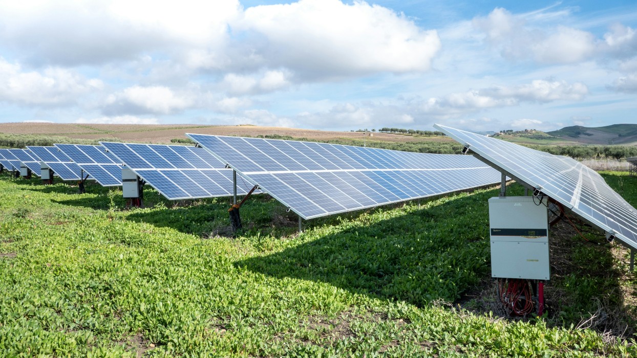 Green jobs: la situazione attuale dei nuovi mestieri che fanno bene all’ambiente