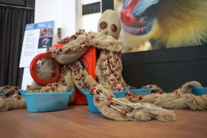 Plasticocene: per sensibilizzare al rispetto di mare e ambiente