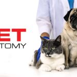 Pet Anatomy in arrivo su RaiPlay il docufilm sul rapporto tra uomo e animale