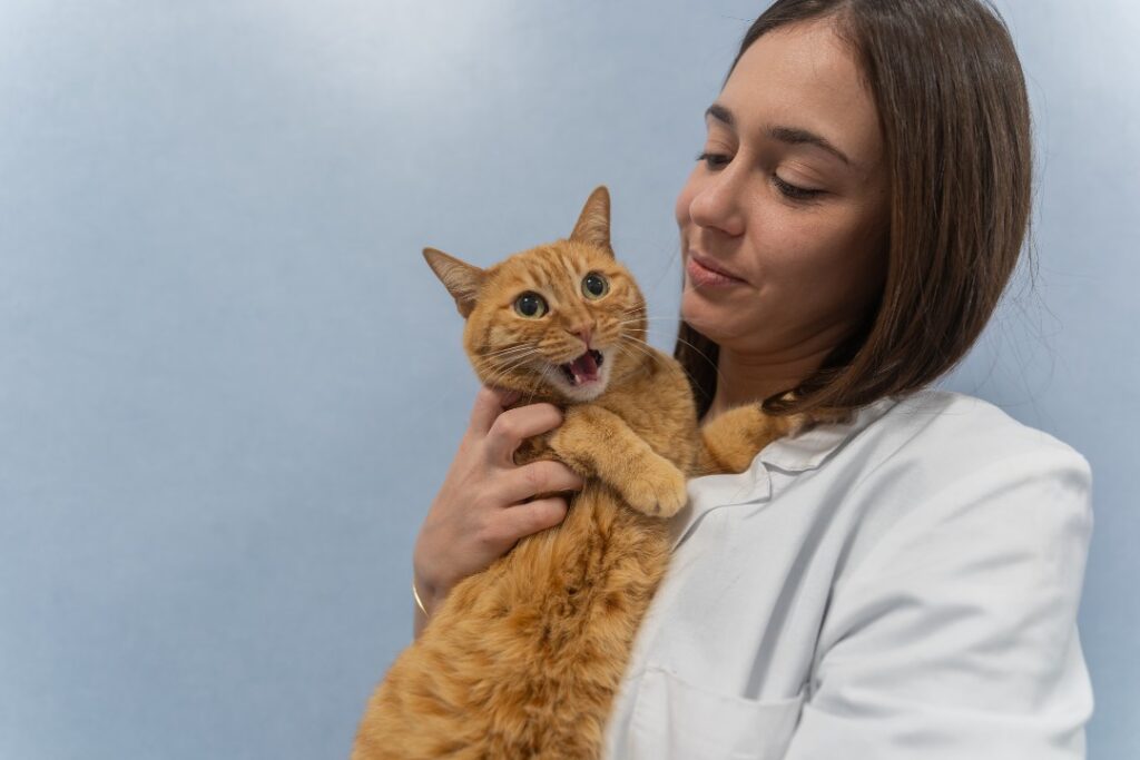 Pet Anatomy in arrivo su RaiPlay il docufilm sul rapporto tra uomo e animale