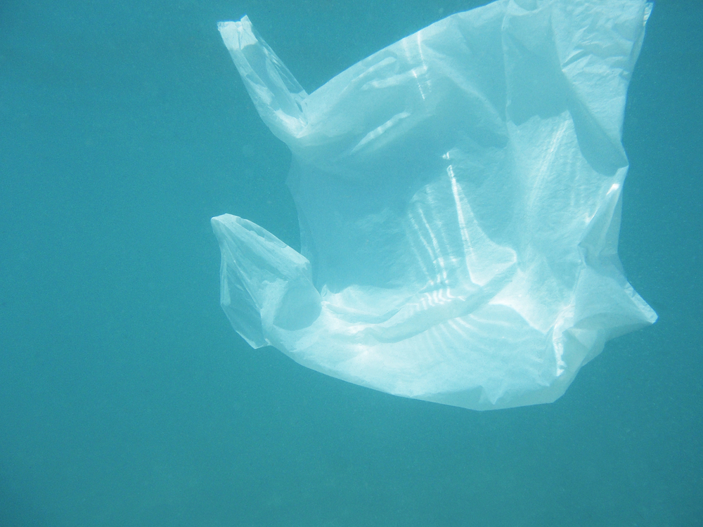 Plastica che si decompone in poche ore in mare, la scoperta in Giappone