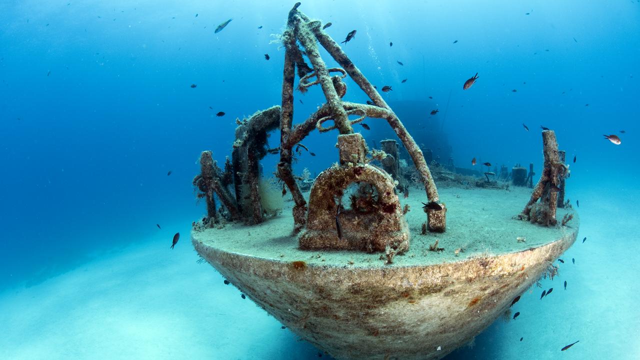 MyShot 2025: la fotografia subacquea per raccontare il mare