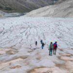 CollembolICE, al via il progetto di citizen science sui ghiacciai