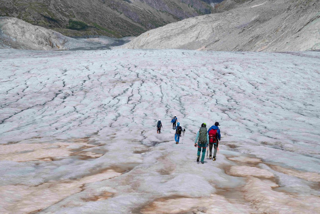 CollembolICE, al via il progetto di citizen science sui ghiacciai