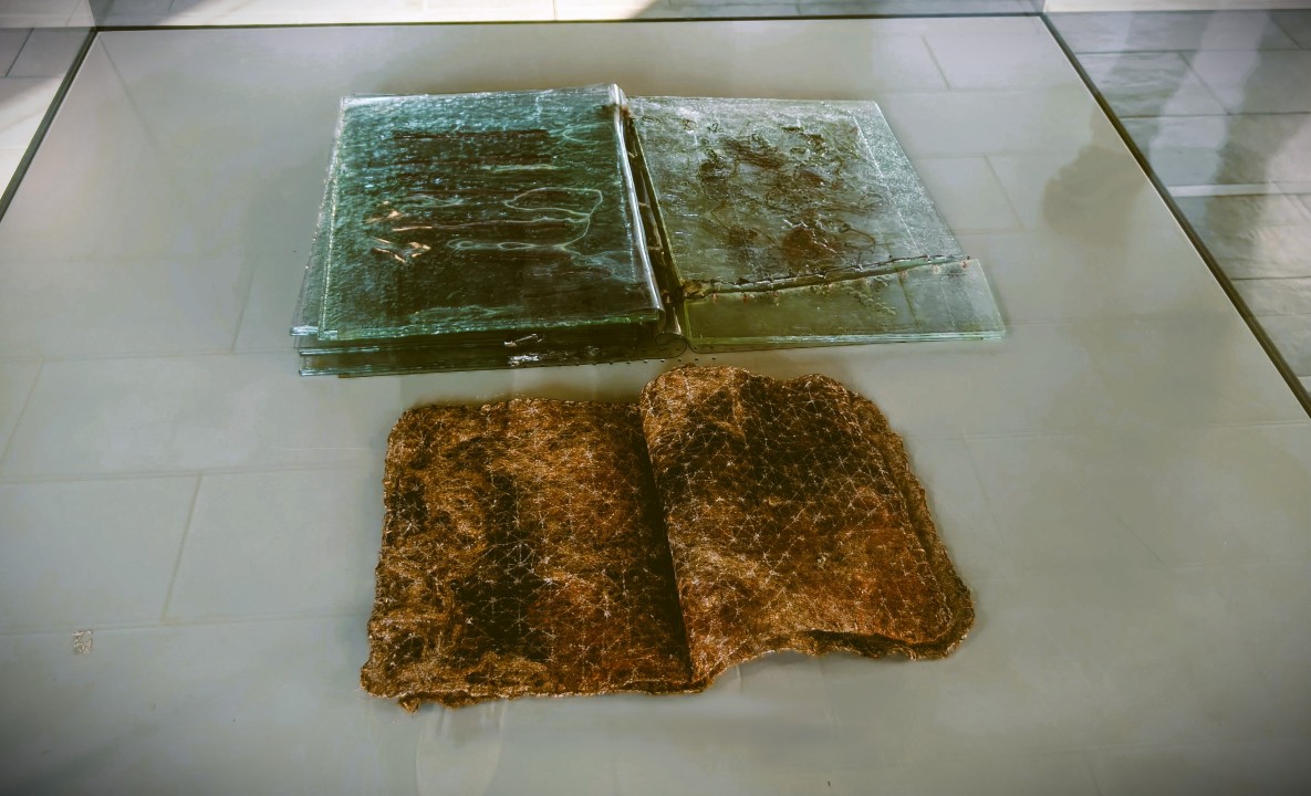 Carbon Carpet a RiscArti 2025