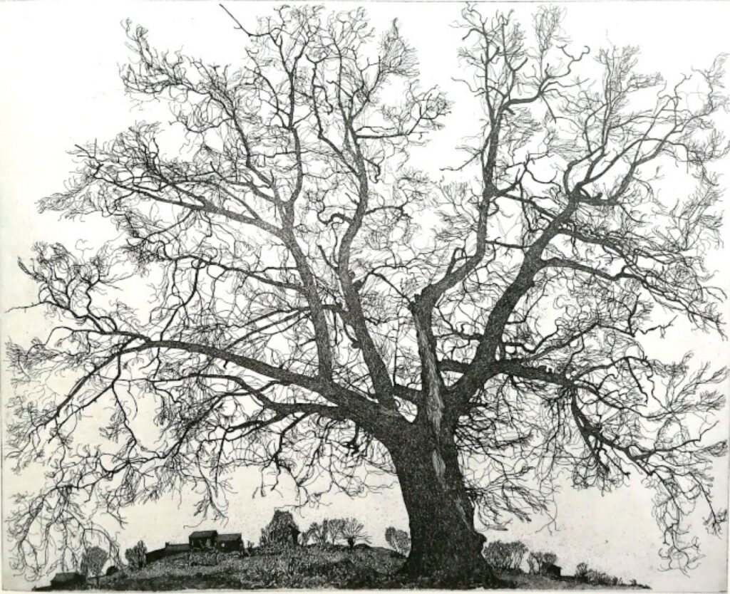 Federica Galli, la Signora degli Alberi, in mostra a Milano