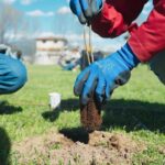 Salone CSR 2025, la sfida di Rete Clima: azioni concrete, biodiversità e visione strategica