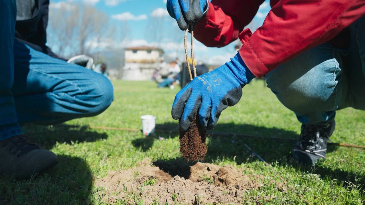 Salone CSR 2025, la sfida di Rete Clima: azioni concrete, biodiversità e visione strategica