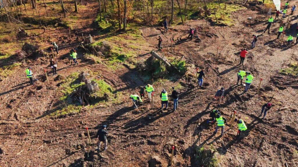 Isola dell’Ochetta nel Parco del Ticino: prende il via il progetto di riforestazione