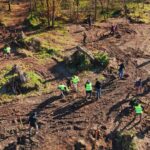 Isola dell’Ochetta nel Parco del Ticino: prende il via il progetto di riforestazione