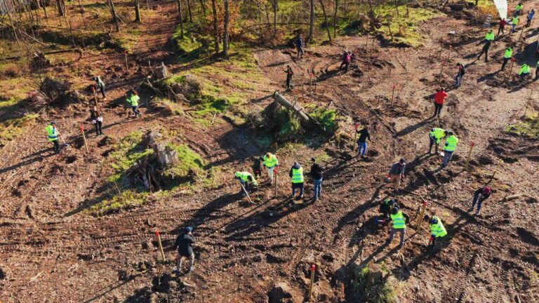 Isola dell’Ochetta nel Parco del Ticino: prende il via il progetto di riforestazione