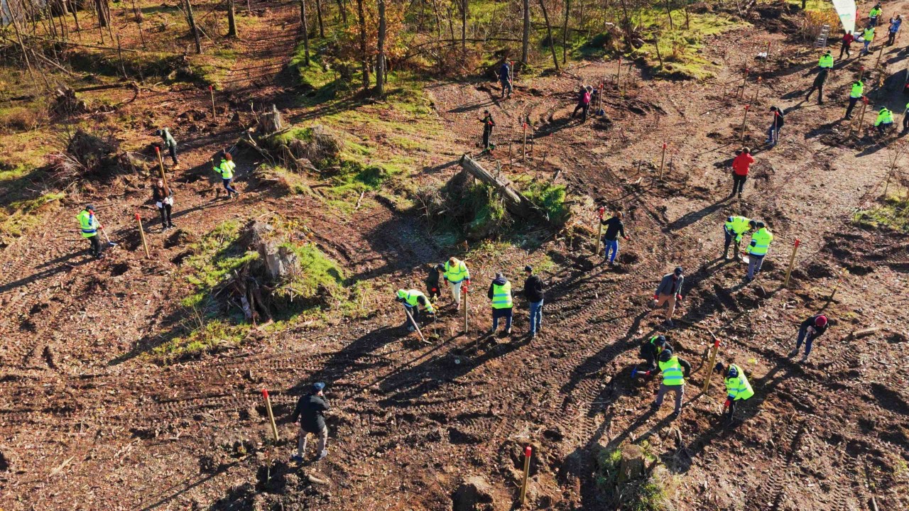 Isola dell’Ochetta nel Parco del Ticino: prende il via il progetto di riforestazione