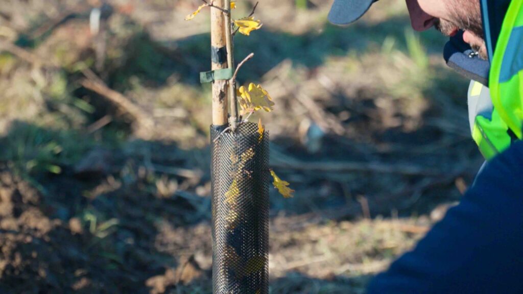 Isola dell’Ochetta nel Parco del Ticino: prende il via il progetto di riforestazione