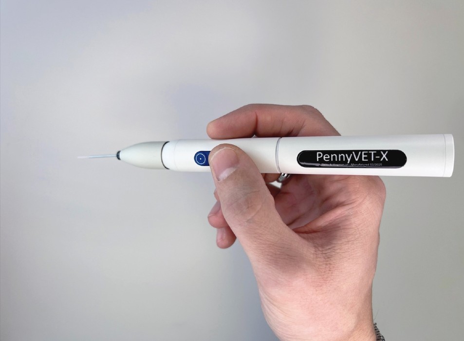 Penny Vet, la prima penna laser al mondo creata per la cura di cani e gatti