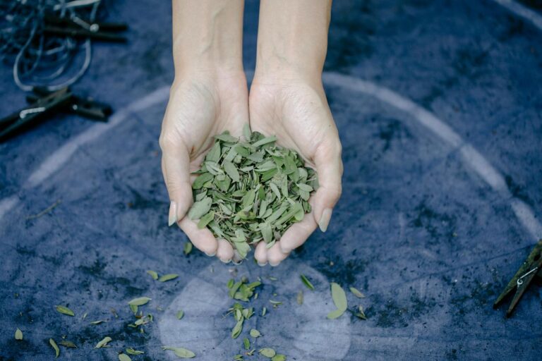 Giornata mondiale della Natura: focus su piante medicinali e aromatiche. Il report di Legambiente