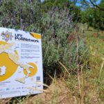 Impollinatori, la Primavera delle Oasi in mobilitazione per la biodiversità