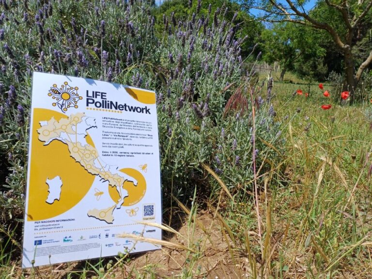 Impollinatori, la Primavera delle Oasi in mobilitazione per la biodiversità