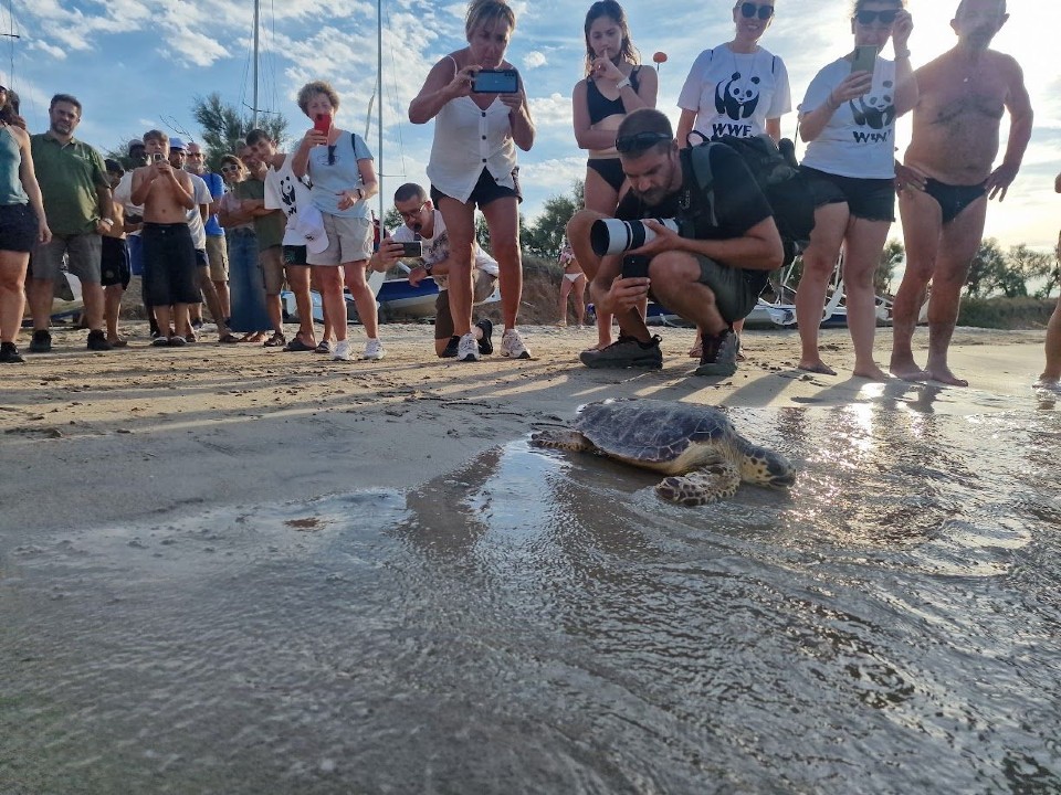 orre Guaceto, nella Giornata Internazionale del Mar Mediterraneo raccolti 300 chili di rifiuti tartaruga
