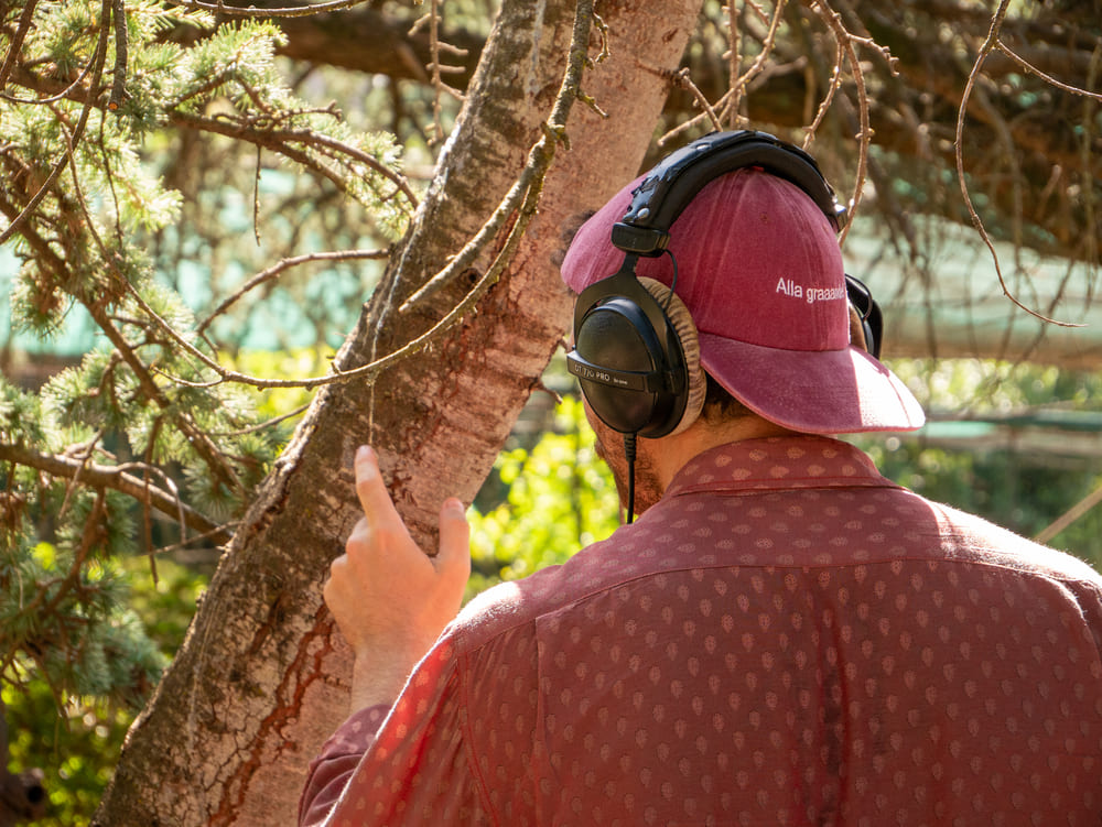 Botanical Landscape: il mondo vegetale diventa musica